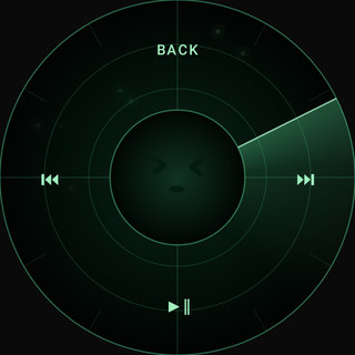 The Radar wheel: a green sweep over range rings.